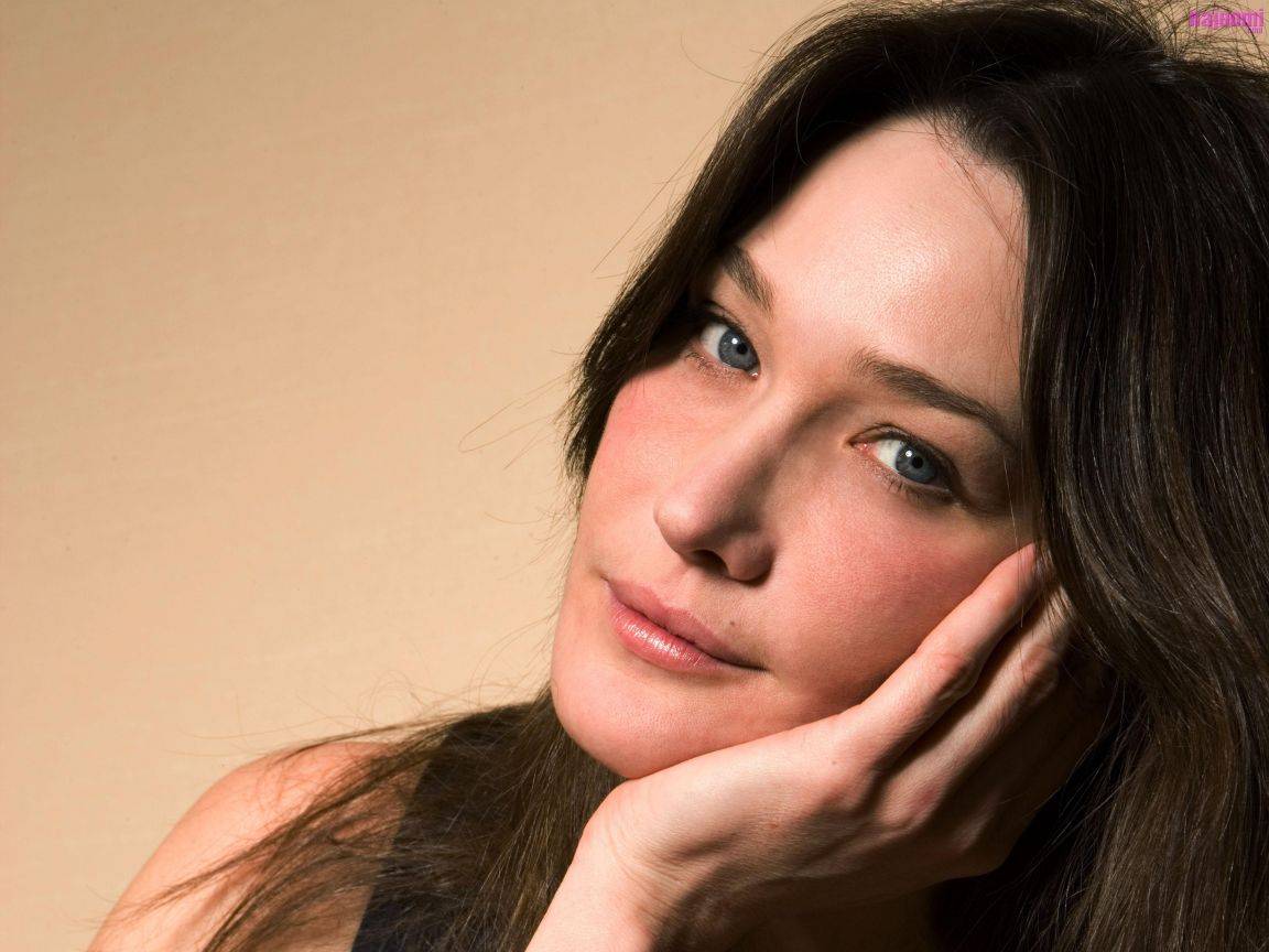 L'ira delle femministe contro Carla Bruni