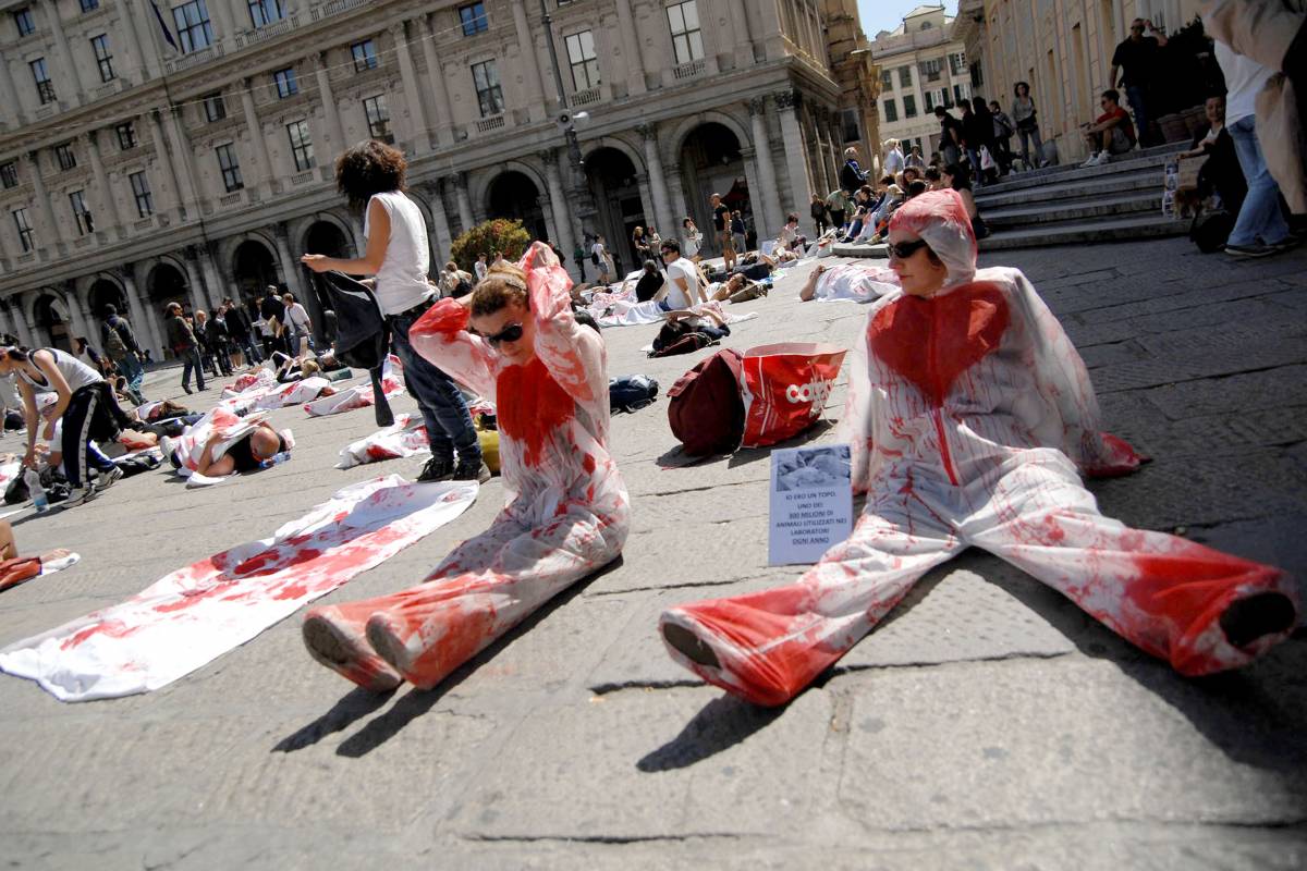 Manifestazioni in 40 città per dire no a Green Hill: "Chiudere l'allevamento"