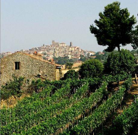 Festa della Maremma Fra cavalli e butteri è il trionfo del gusto