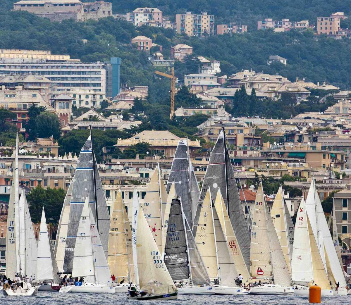 «Millevele» fanno più bello il mare di Genova