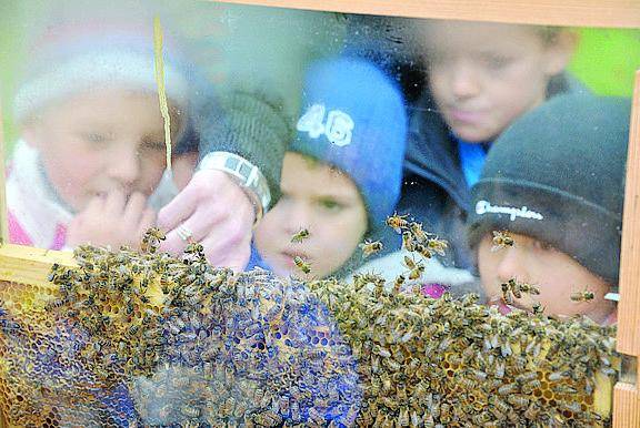 Piccoli agricoltori cercasi: lezioni in Valle d’Aosta