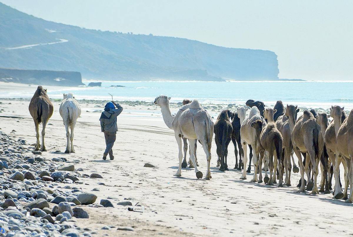 Sport e relax sulle spiagge di Agadir Luci e colori nelle piazze di Marrakech