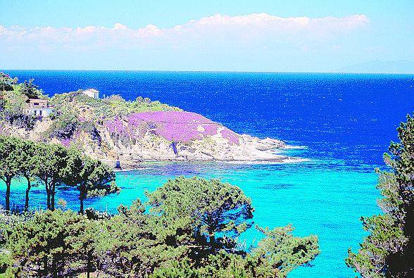 Sott’acqua per vedere l’altra faccia dell’isola d’Elba