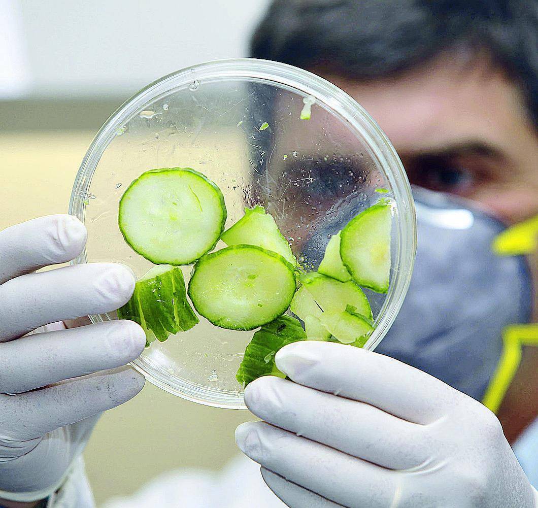 Milano prepara la notte degli scienziati