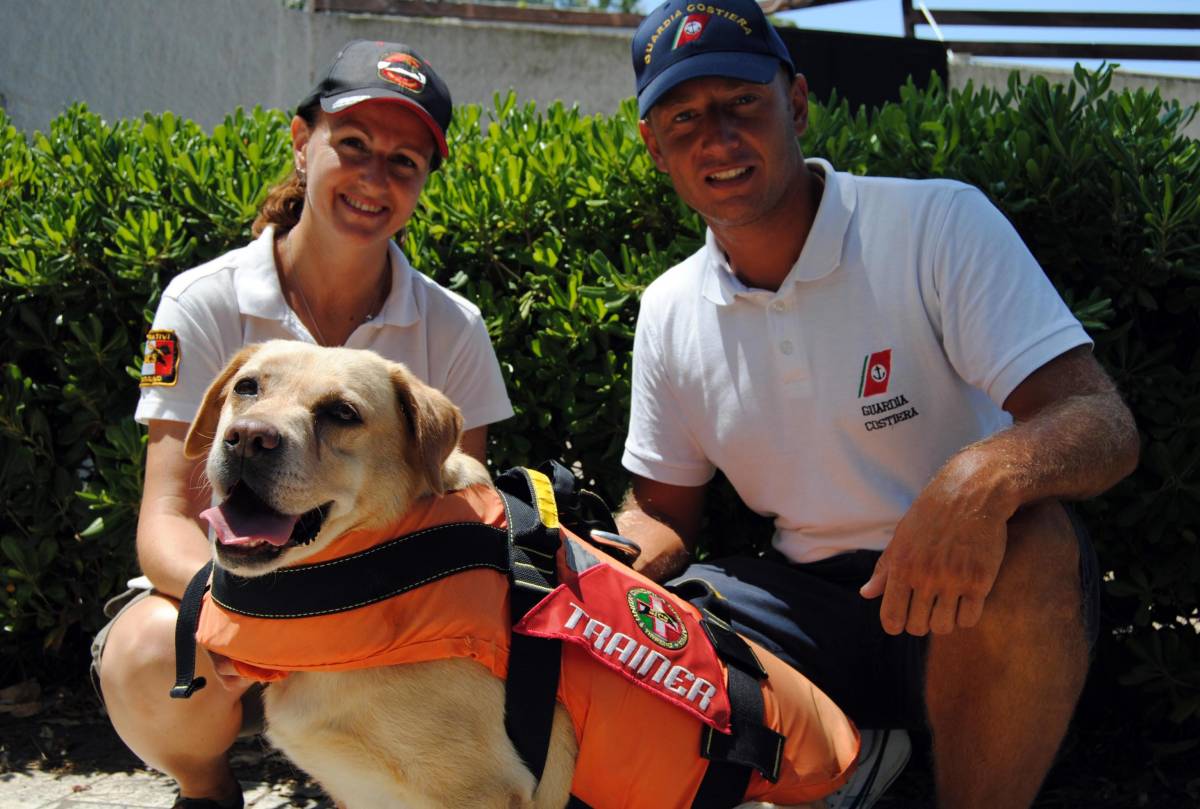 L'estate eroica sulla spiaggia del cane-bagnino di Totti