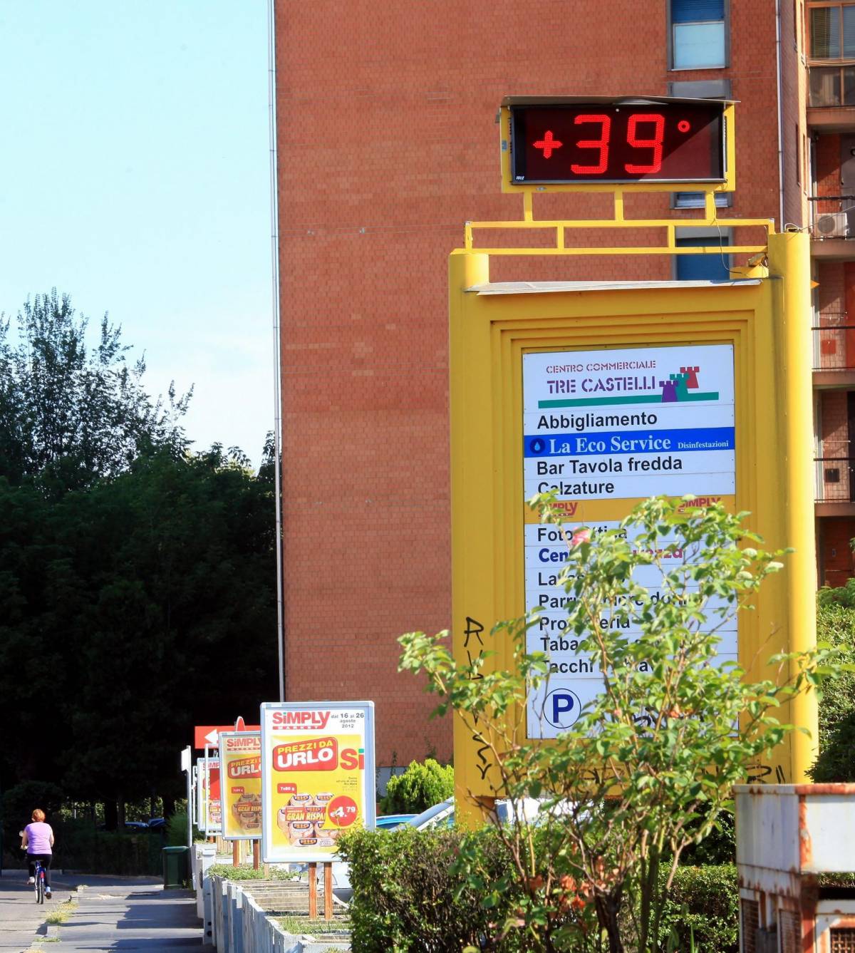 Milano si scioglie a 40 gradi E gli alberi perdono le foglie