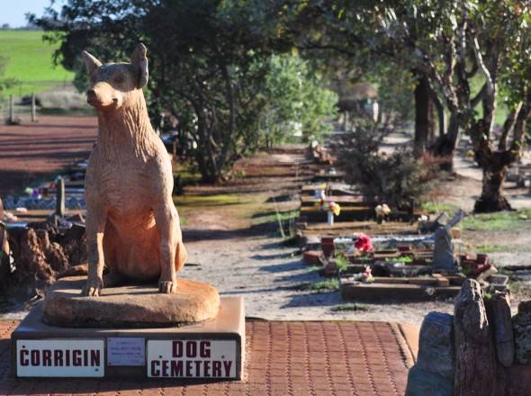 A Pisa il primo cimitero misto per animali e padroni