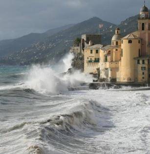 Raffiche di vento a 100 km all'ora, alberi e ponteggi abbattuti a Genova