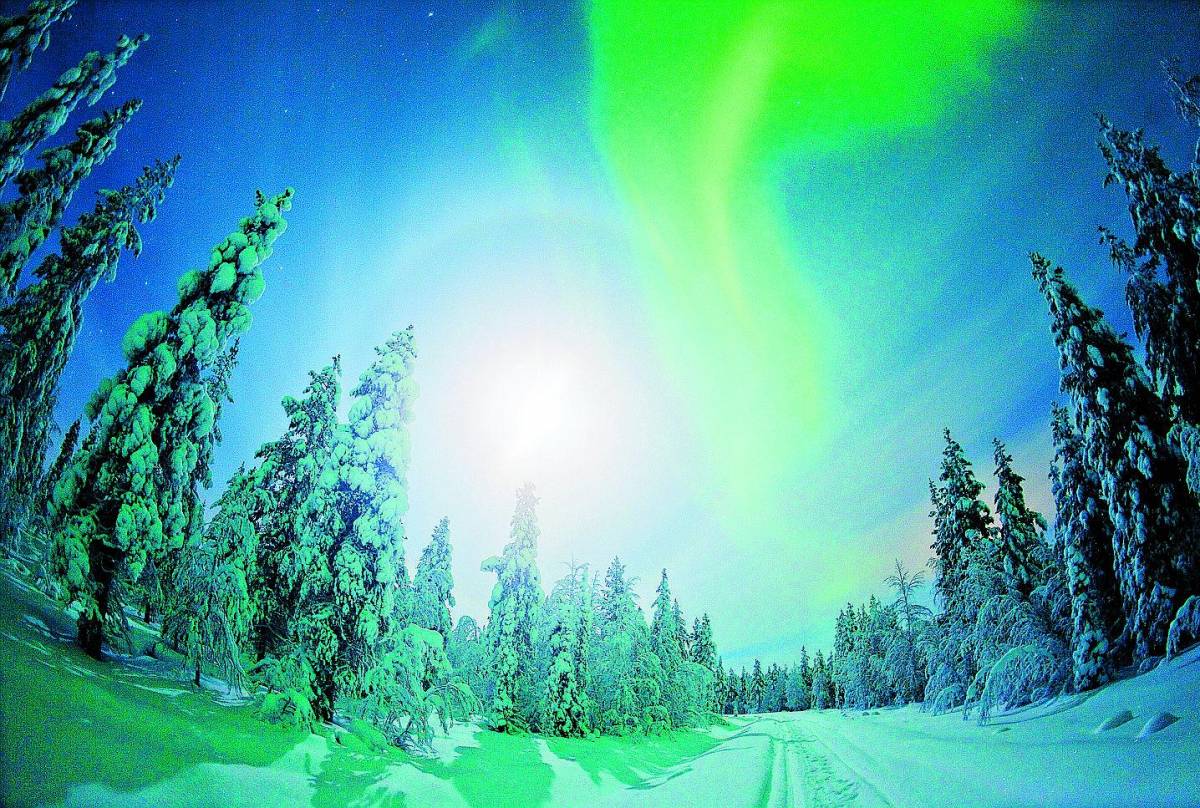 Lapponia, safari artico sulla neve Parte la caccia a Babbo Natale