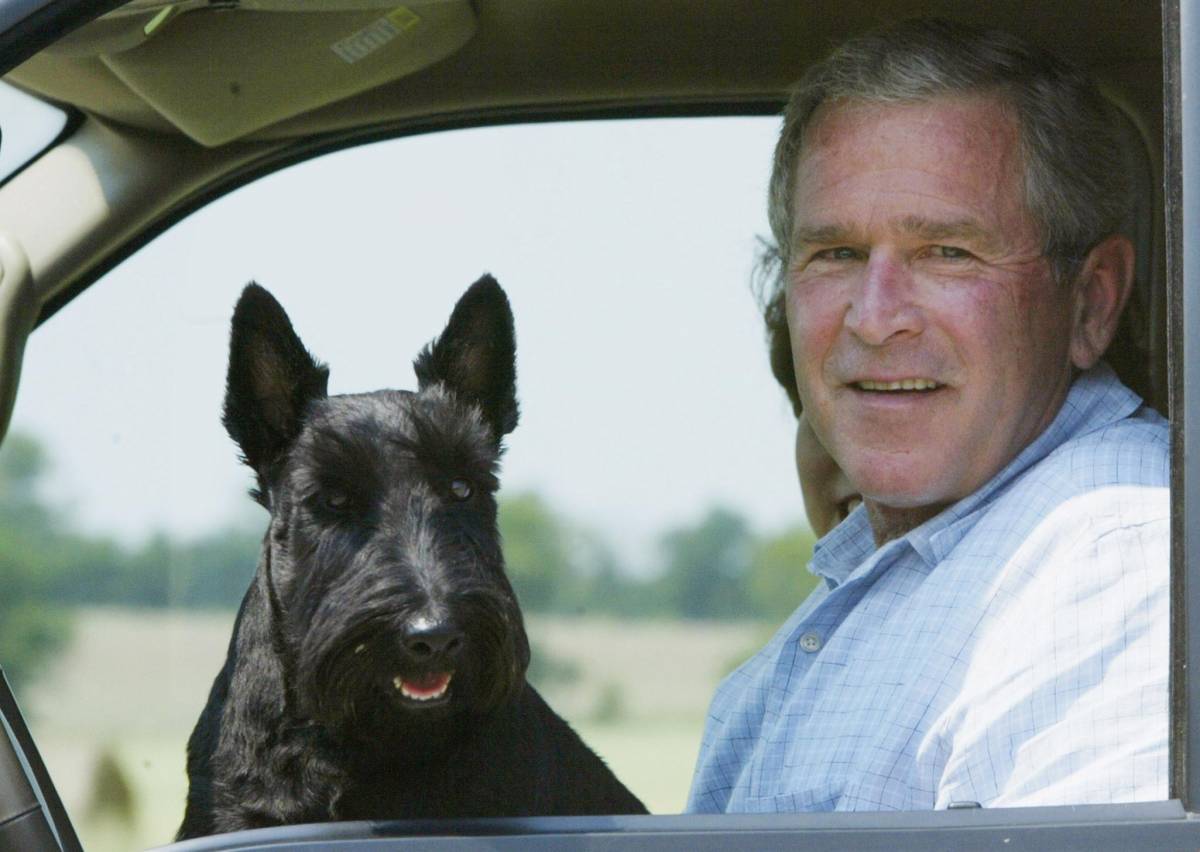 La profezia di Bush: "Al Qaeda vuole un califfato in Irak"