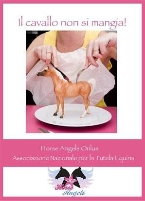 Horse Angels: scandalo carni equine, cosa succede ai cavalli a fine carriera?