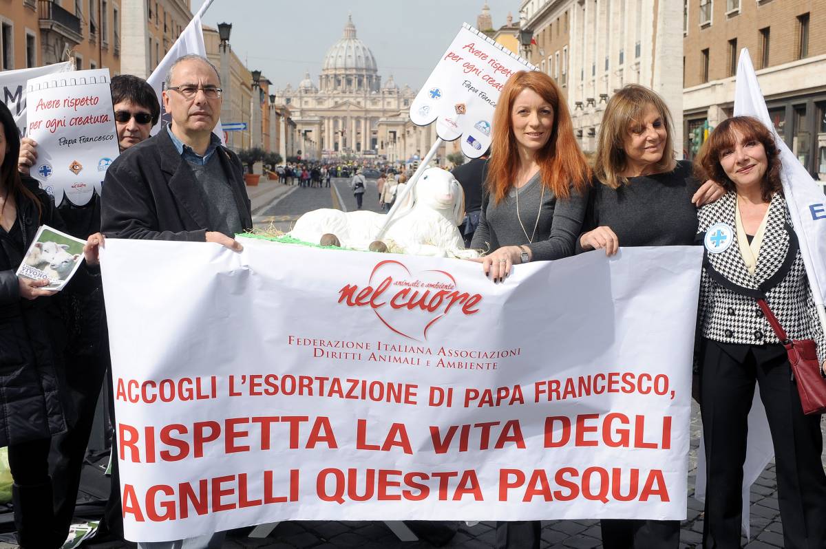 Gli animalisti a S. Pietro: "No alla strage degli agnelli per Pasqua"