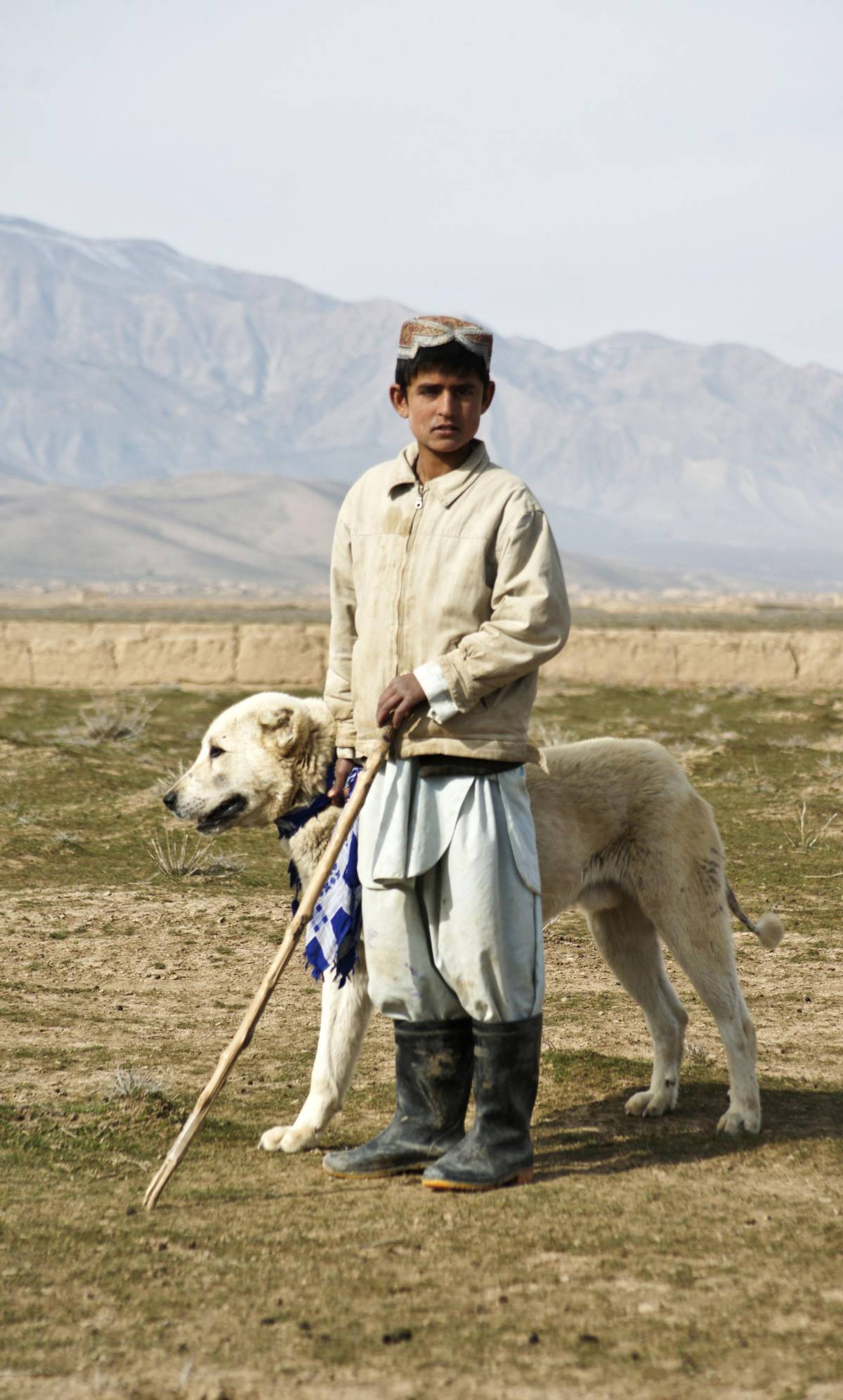 Un cane e un bimbo in fuga dalla guerra