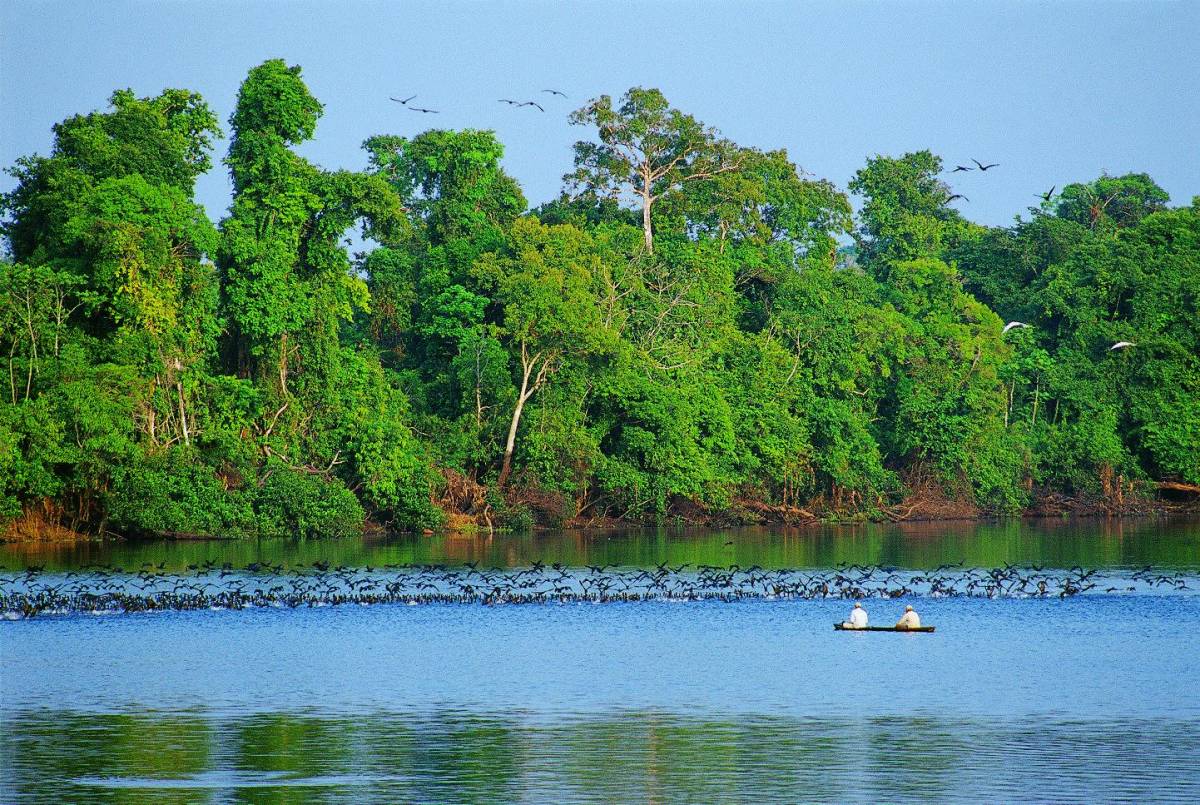 Sentire il «respiro del mondo»  nel grande polmone del pianeta