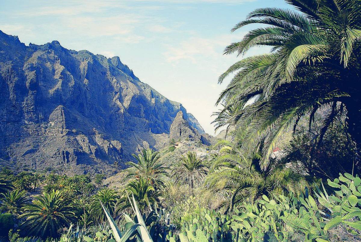 Leggende e foreste incantate da Tenerife a La Gomera