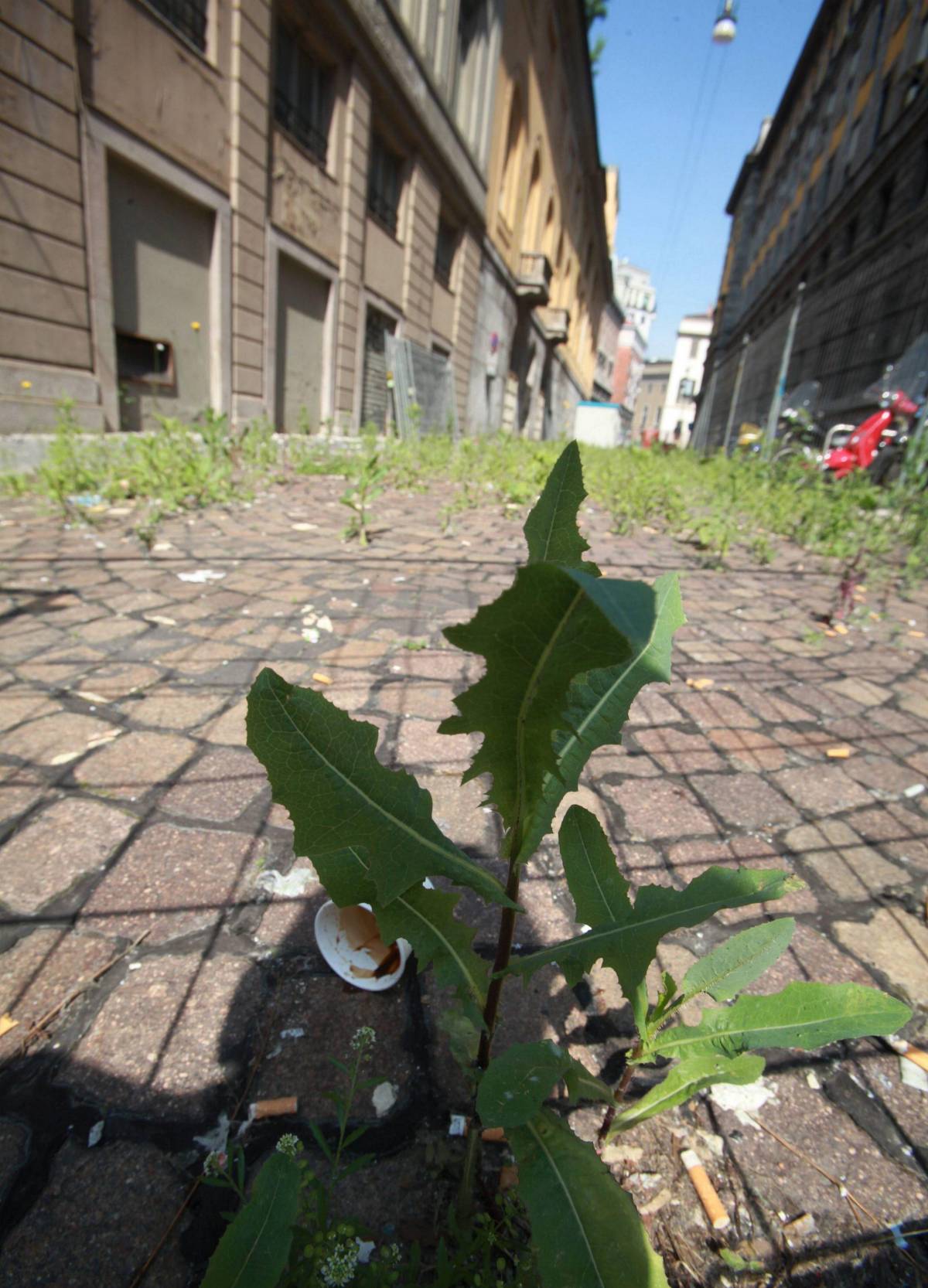 Lirico, l'asta è ancora deserta Il Comune prova a far da solo