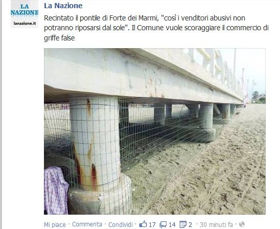 La rete sotto il pontile di Forte dei Marmi (da Facebook / La Nazione)