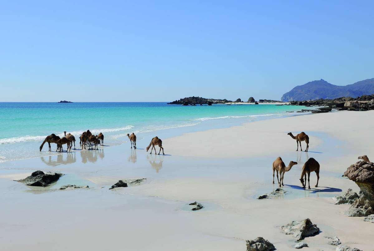 In Oman non c'è solo il deserto: mare, montagna e oasi da scoprire