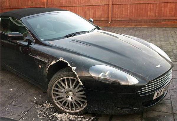 L'Aston Martin DB9 distrutta dal cane 