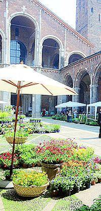 Mostra mercato benefica di fiori e pianteA Sant'Ambrogio