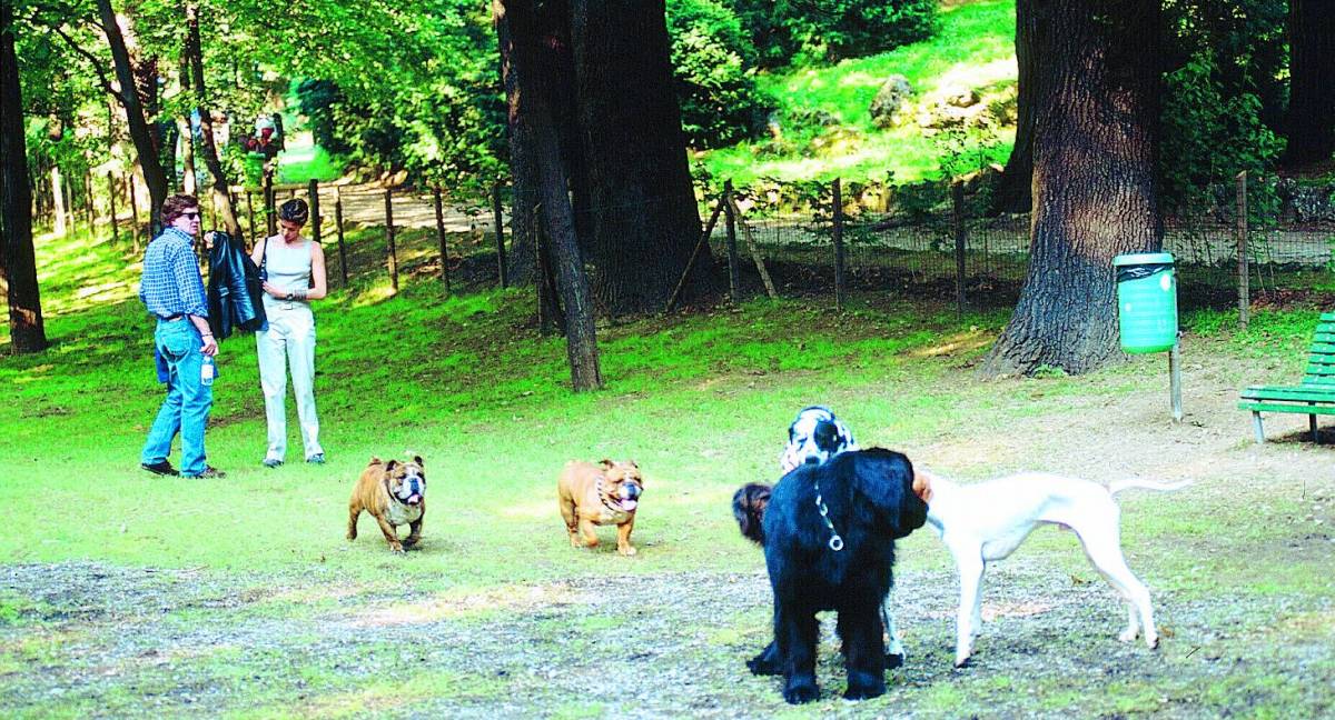 «Pronti a fare le ronde per difendere i nostri cani»