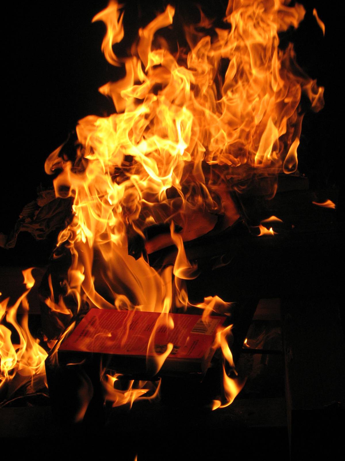 I libri? Li brucia chi ne ha letti di più
