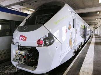 Treni larghi su binari stretti A Parigi pasticcio da 50 milioni