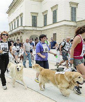 Via alla maratona benefica per cani e proprietari: si parte domani a Napoli, l'8 a Milano