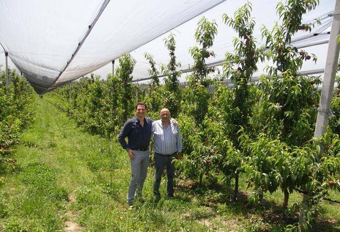 Agguato sulla A1: freddato il "re della mela annurca"