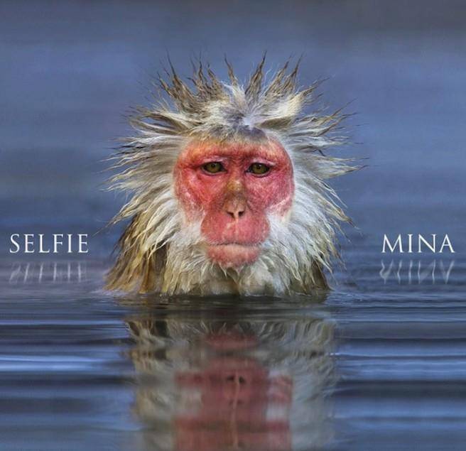 Nel "Selfie" di Mina una lezione di eleganza pop