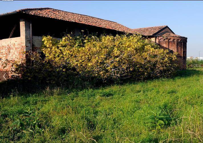 Assegnata a un'associazione  la cascina con affreschi del '300