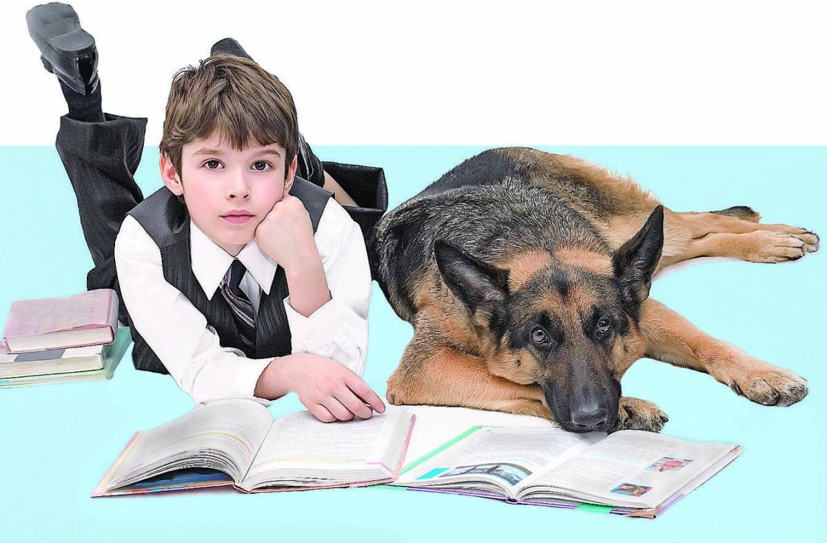 I cani più tristi dei bimbi quando riapre la scuola