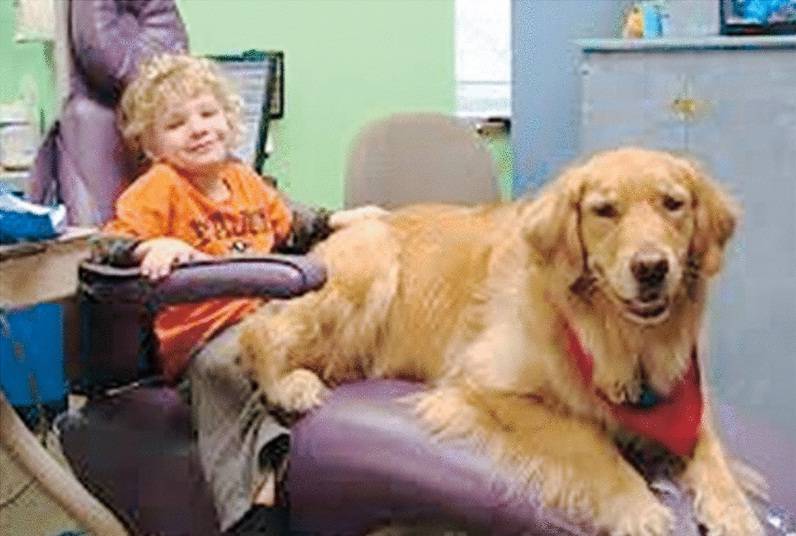 Il cane che cura i bimbi dal terrore del dentista