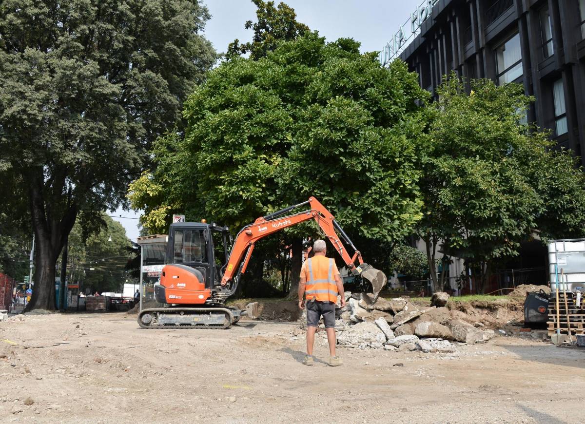 Tutti in strada per fermare il taglio degli alberi