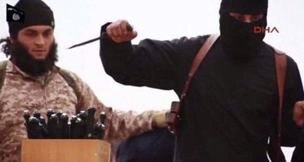 L'Isis contro i piccioni: "I loro genitali all'aria offendono l'Islam"