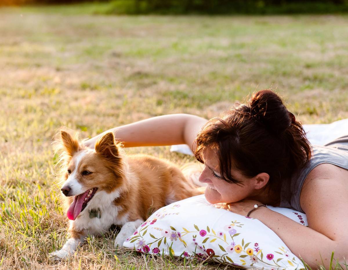 L'ora dei verdetti animalisti «Risarcite la perdita del cane»