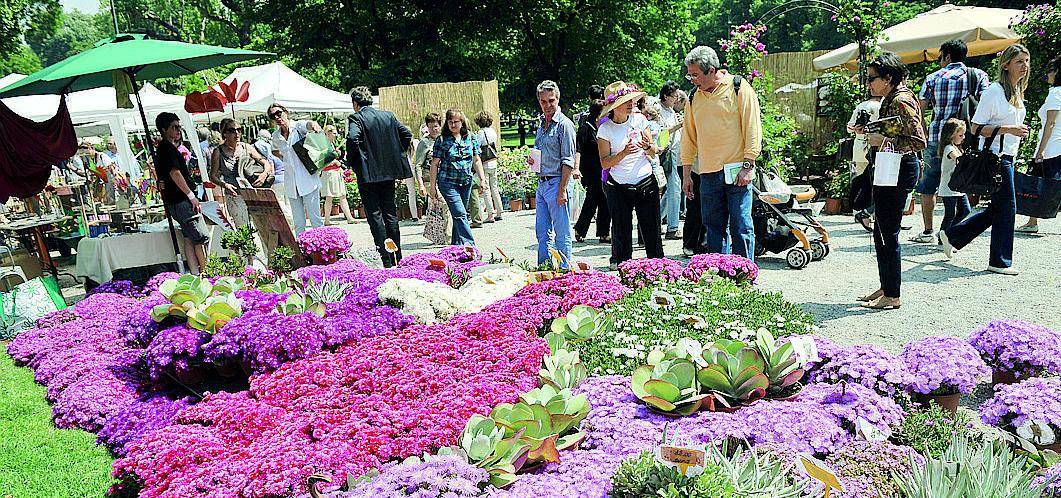 L'anno delle rose Orticola celebra il fiore più amato