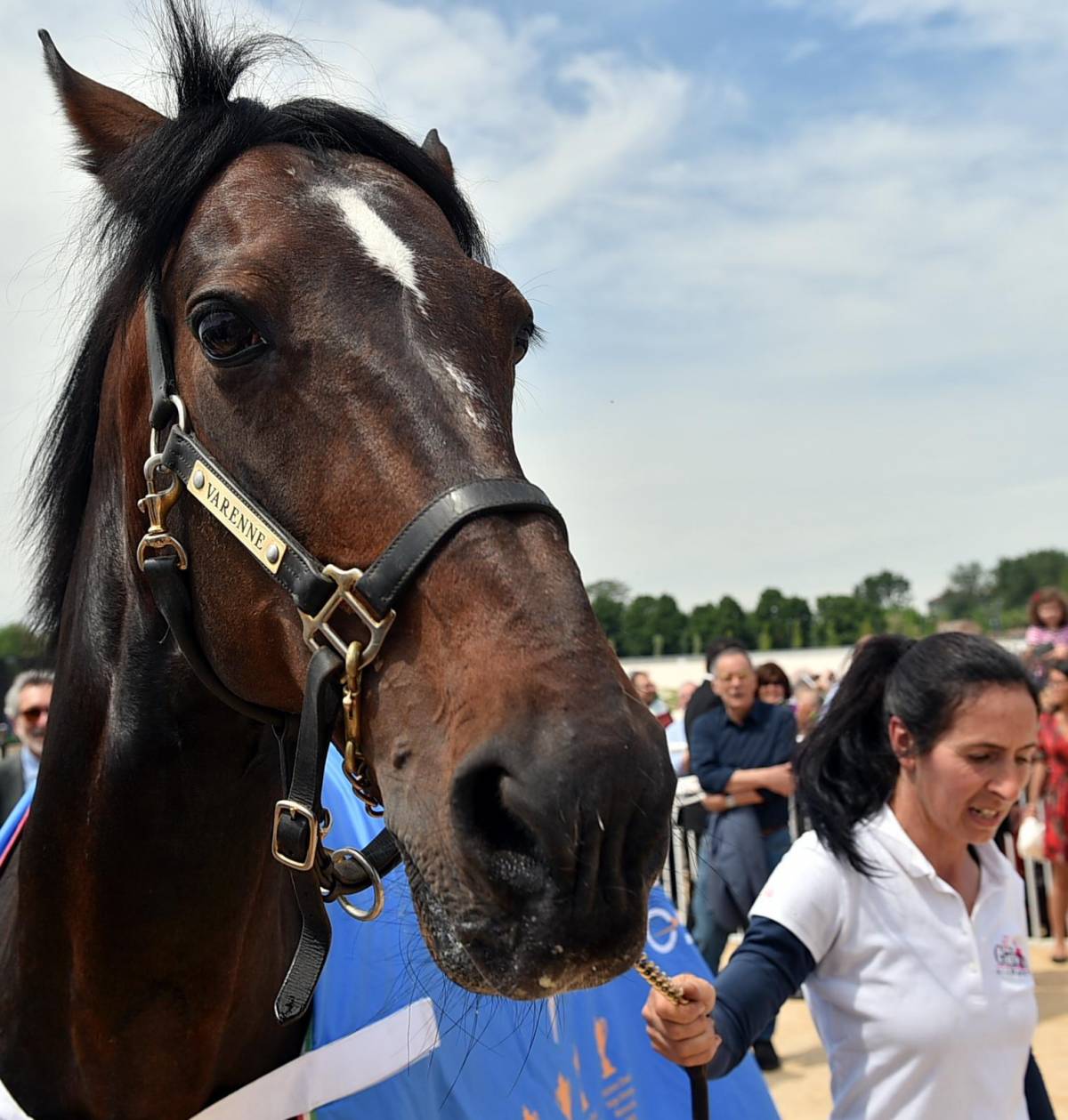 L'Ippodromo è rinato lo battezza Varenne