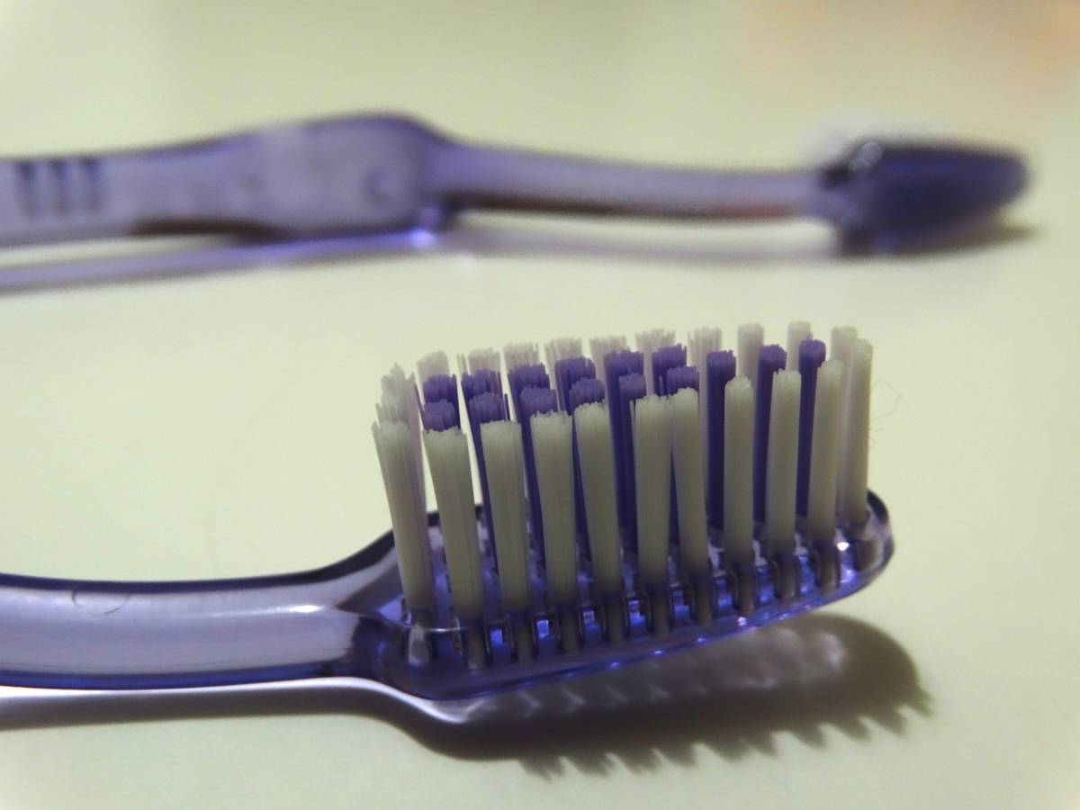 Feci sullo spazzolino da denti: una ricerca spiega il perché
