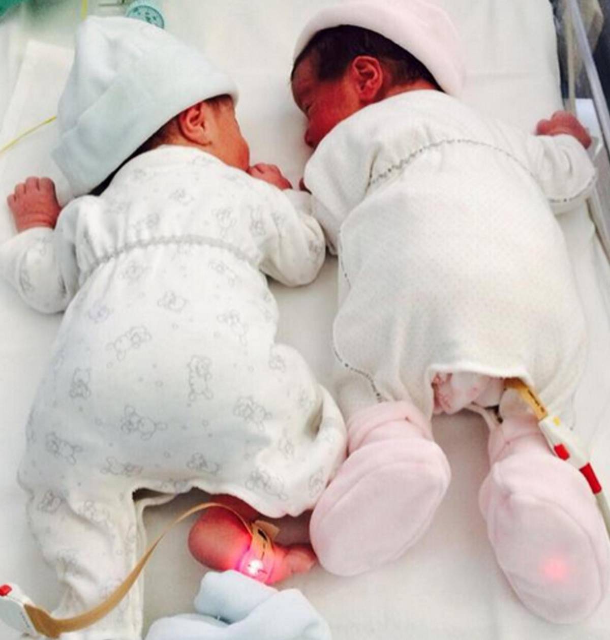 La Lorenzin pubblica  foto dei suoi gemelli:  pioggia di insulti sui social 
