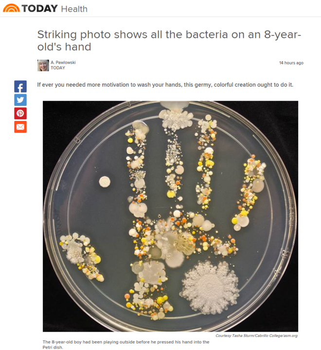 Quanti microbi ci sono sulla mano di un bambino