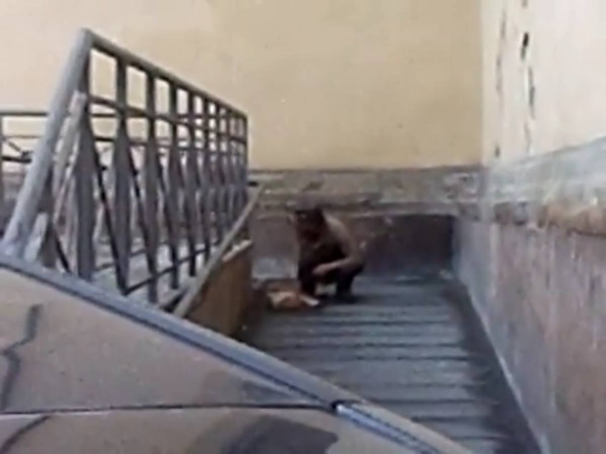 Uomo defeca sulla rampa dei disabili a Firenze