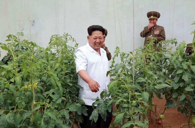 La guardia che ride alle spalle di Kim Jong Un rischia una brutta fine?