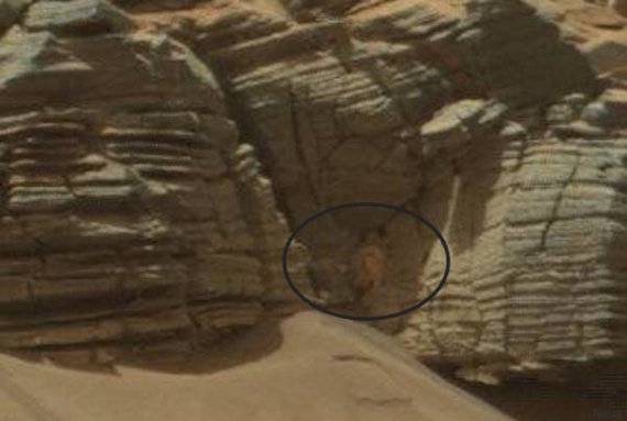 Le strane foto della Nasa su Marte 