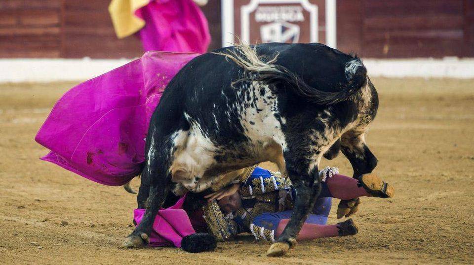 Incornato dal toro durante la corrida in Spagna, grave il matador