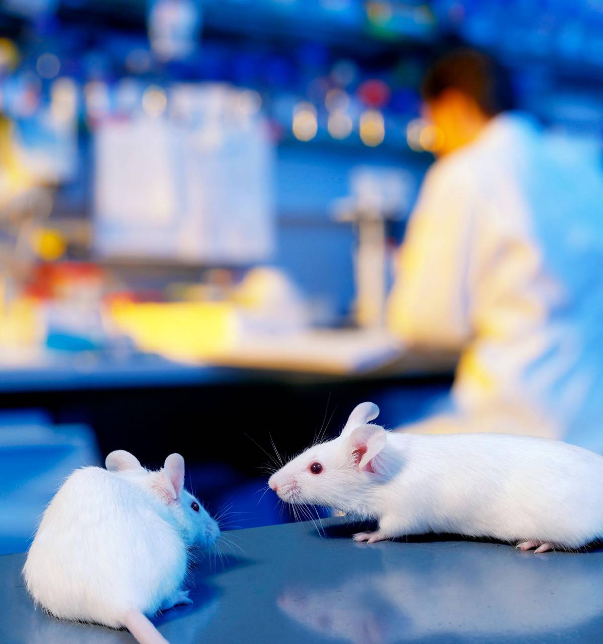 Col cervello artificiale addio ai test su animali