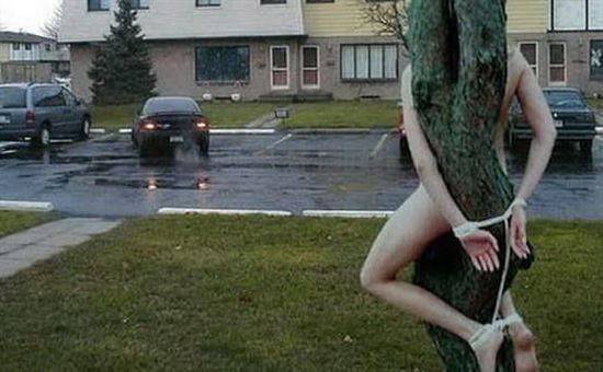 Lega la moglie nuda all'albero per farle capire chi comanda: 50enne rumeno condannato