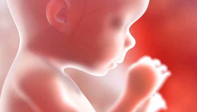 Nel pancione della mamma, un feto di 16 settimane ascolta e canta