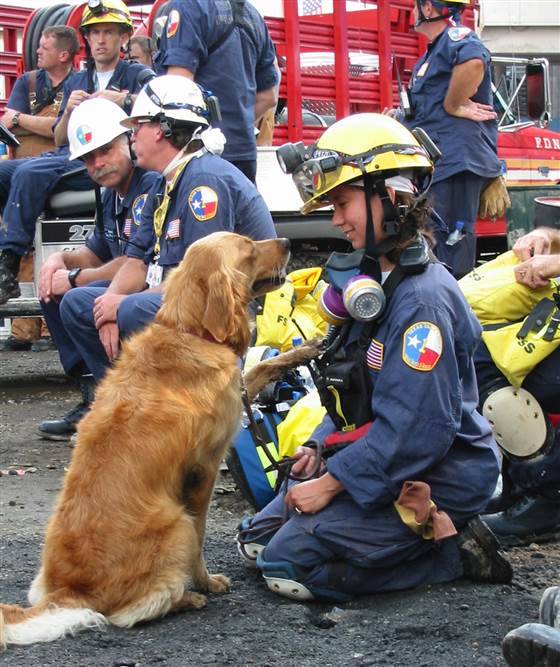 Morto l'ultimo cane-soccorritore dell'11 Settembre