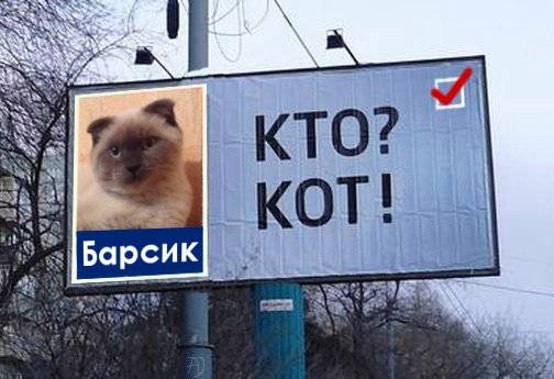 C'è troppa corruzione in città. In Siberia vogliono "candidare" il gatto